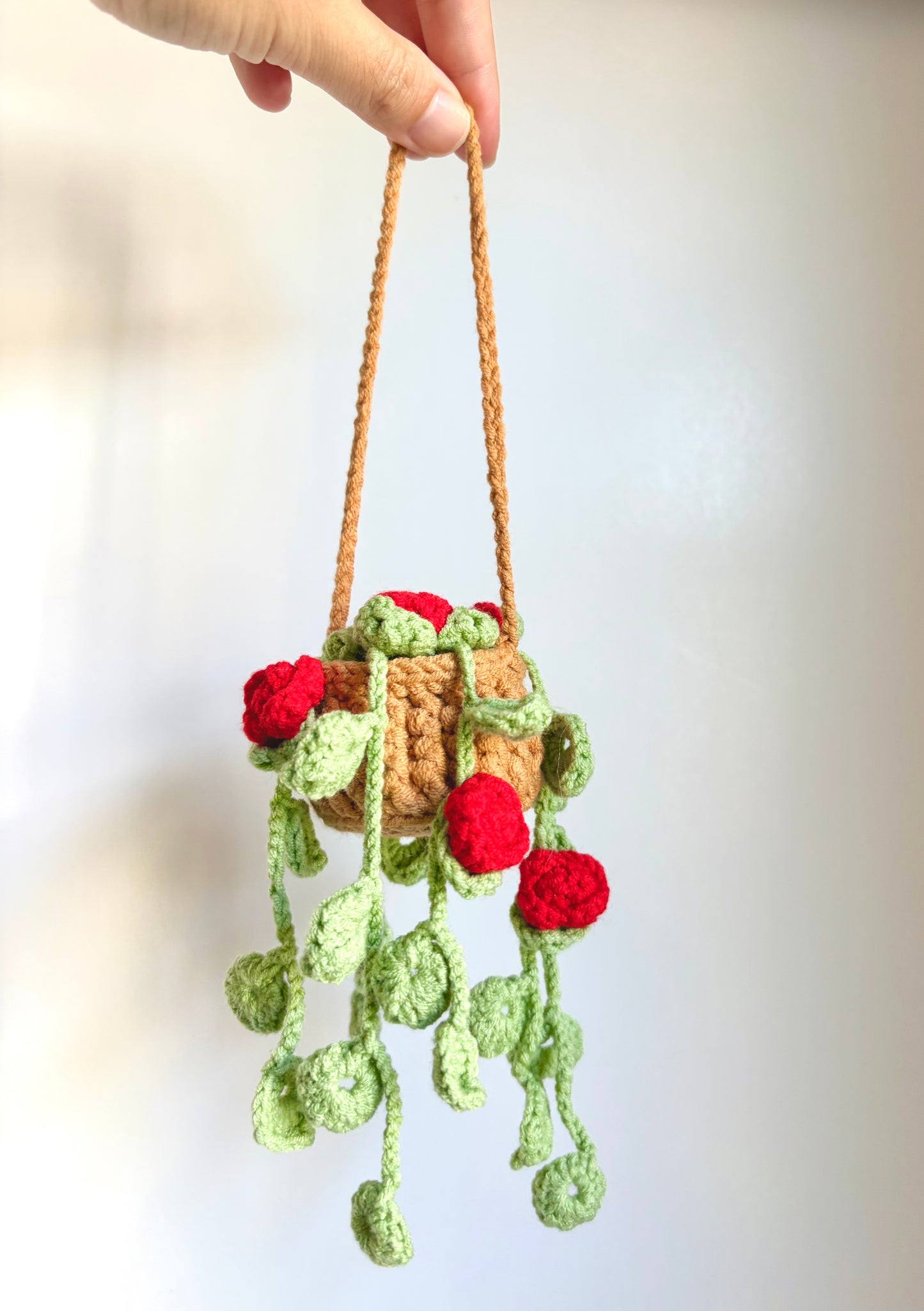 Handmade crochet hanging plants