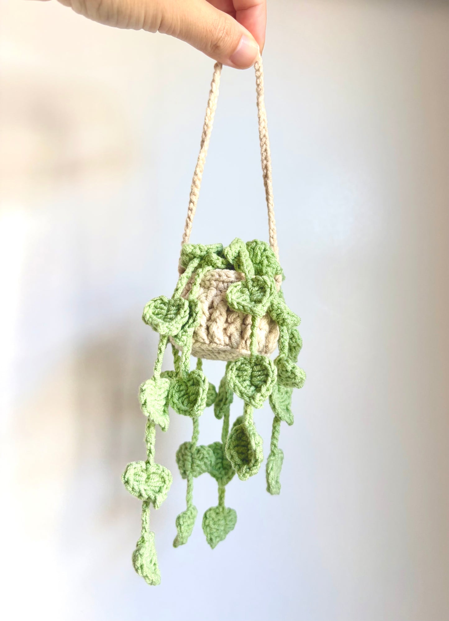 Handmade crochet hanging plants