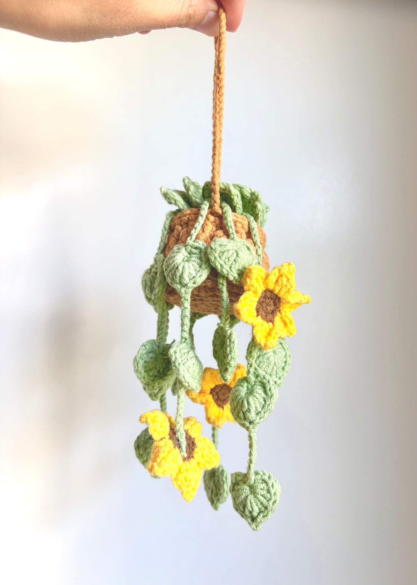Handmade crochet hanging plants