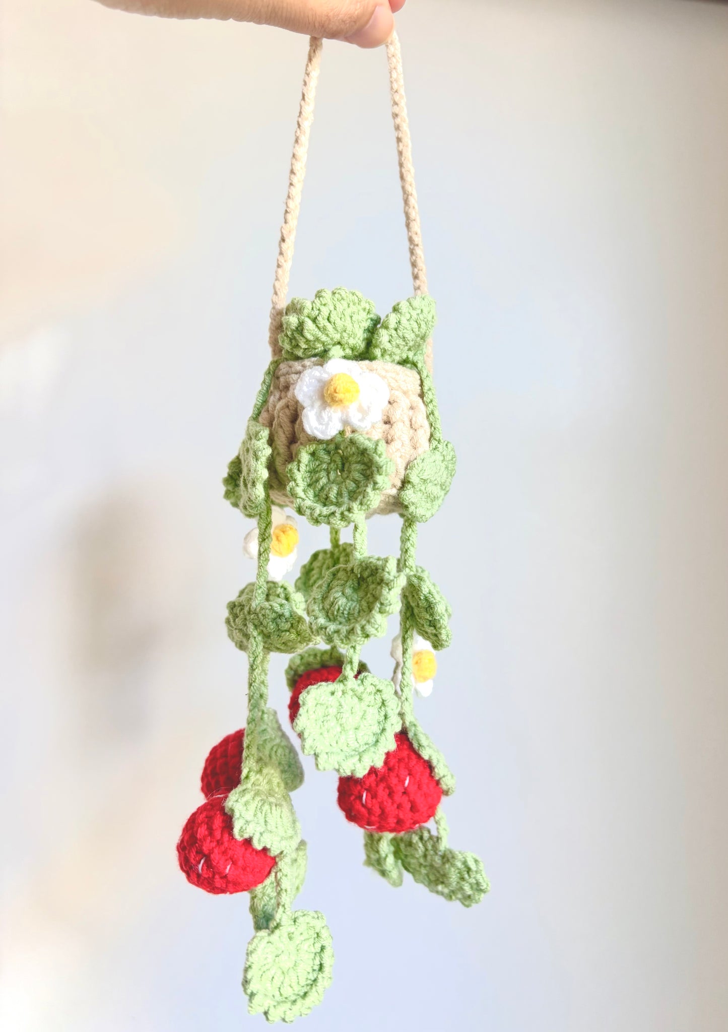 Handmade crochet hanging plants