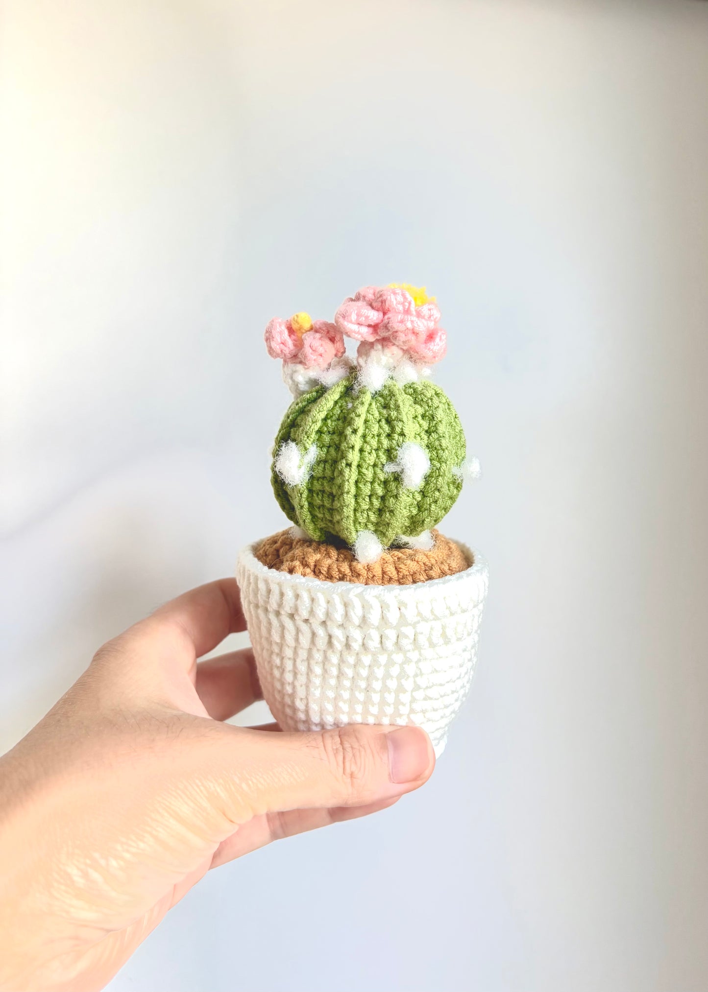 Handmade Crochet Potted Cactus