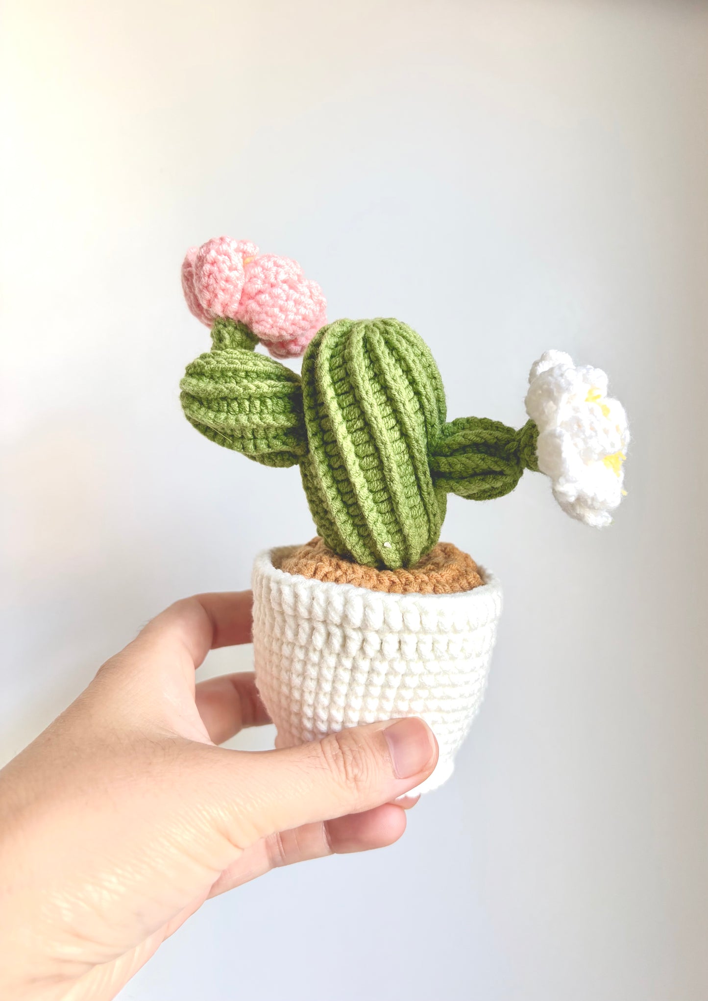 Handmade Crochet Potted Cactus
