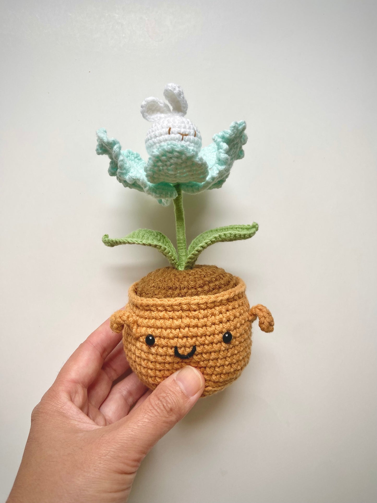 Potted Bunny Plant