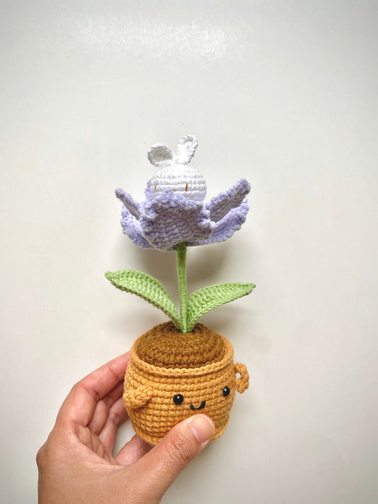 Potted Bunny Plant