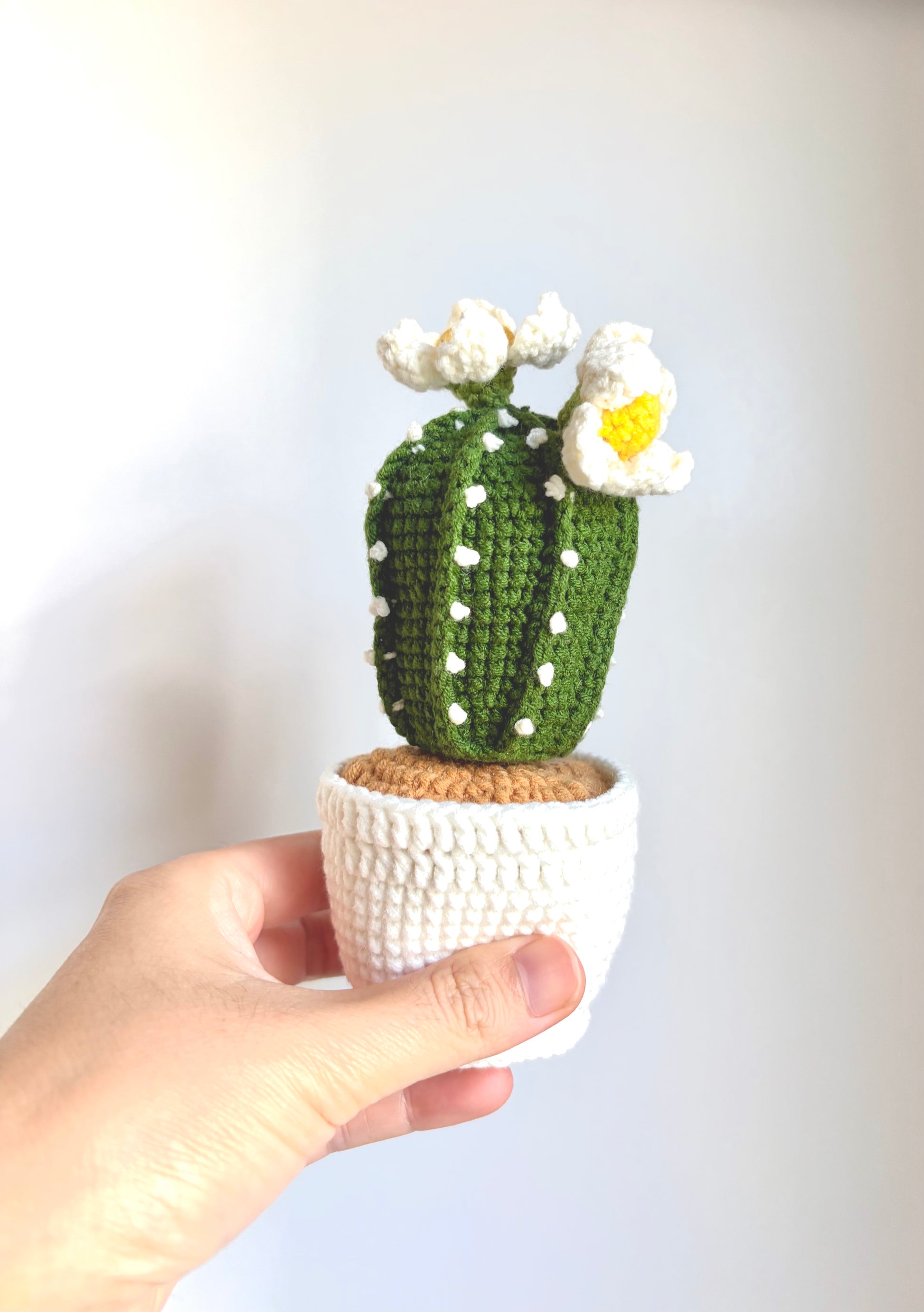 cute cactus plant pot Handmade Crochet Potted Cactus – BlissYarnGarden